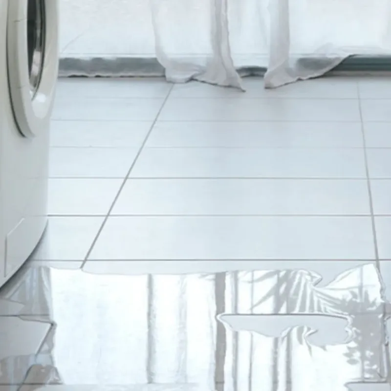 Appliance Leak Cleanup in Branson, MO