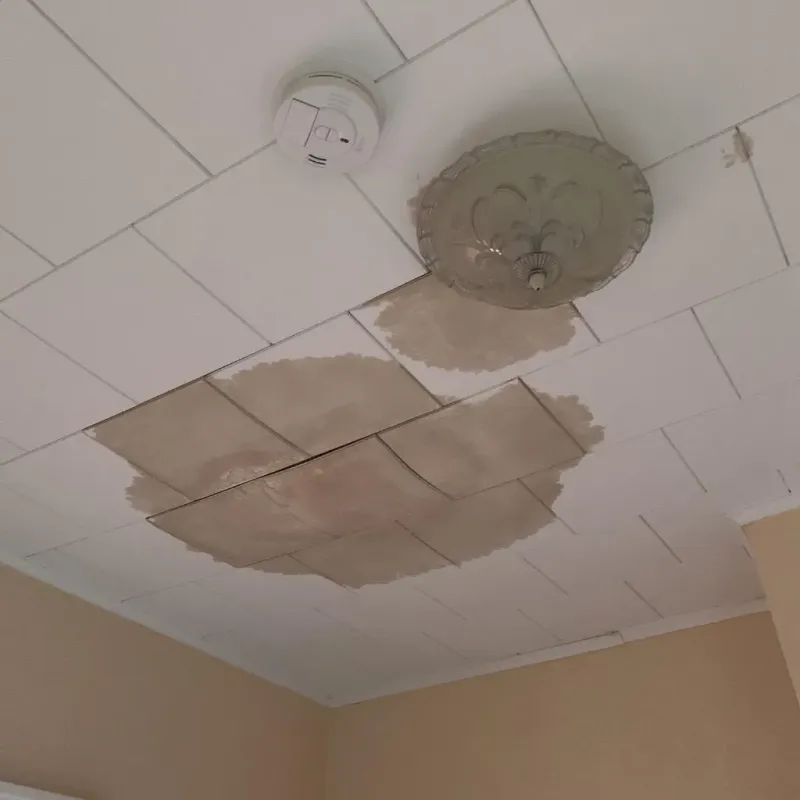 Ceiling Water Damage Repair in Branson, MO
