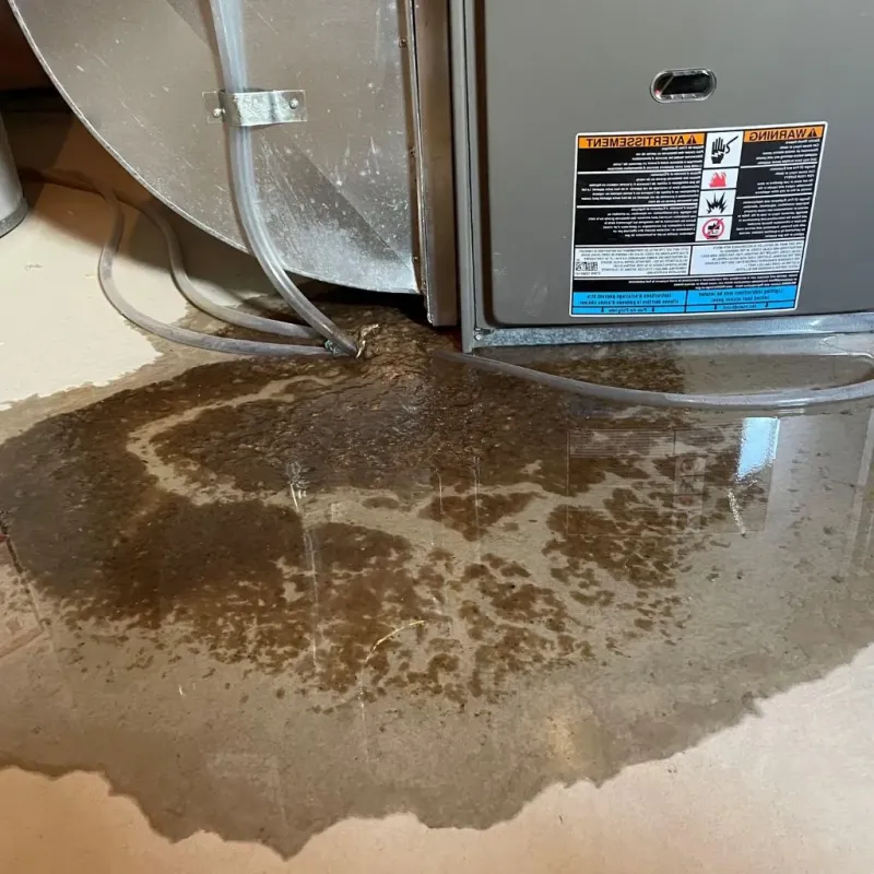 Pipe Burst and Leak Restoration in Branson, MO