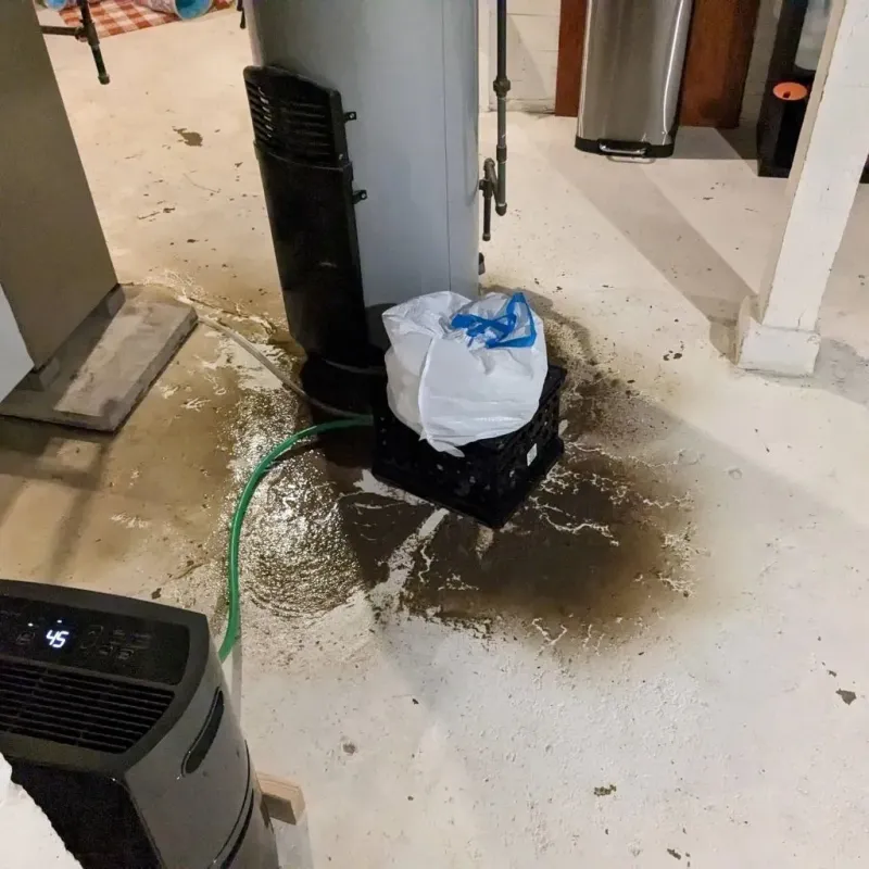 Sewage Backup Cleanup Service in Branson, MO